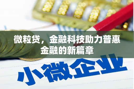 海伦微粒贷，金融科技助力普惠金融的新篇章