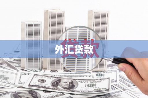 海伦外汇贷款