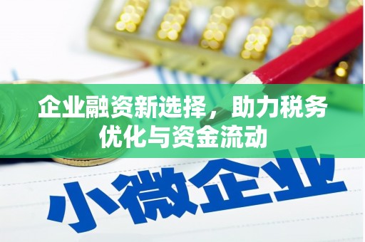 海伦企业融资新选择，助力税务优化与资金流动