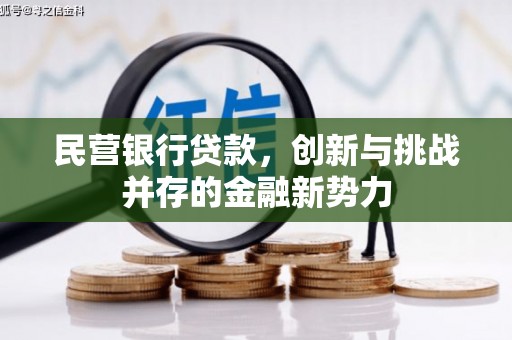 海伦民营银行贷款，创新与挑战并存的金融新势力