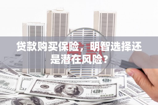 海伦贷款购买保险，明智选择还是潜在风险？