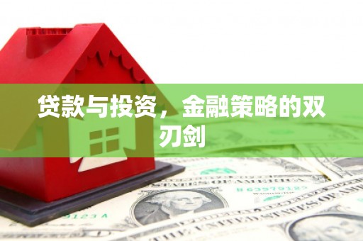海伦贷款与投资，金融策略的双刃剑