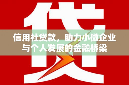海伦信用社贷款，助力小微企业与个人发展的金融桥梁