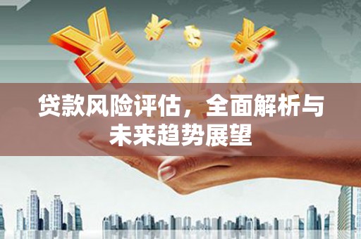 海伦贷款风险评估，全面解析与未来趋势展望