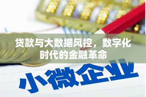 海伦贷款与大数据风控，数字化时代的金融革命