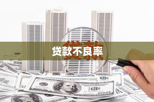 海伦贷款不良率