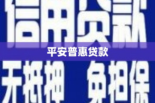 海伦平安普惠贷款