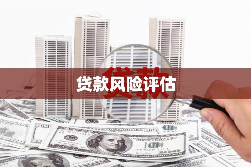 海伦贷款风险评估