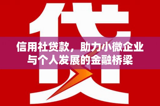 海伦信用社贷款，助力小微企业与个人发展的金融桥梁
