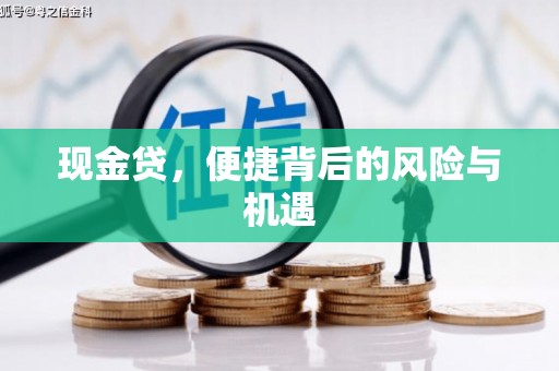 海伦现金贷，便捷背后的风险与机遇
