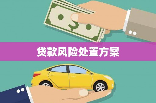 海伦贷款风险处置方案