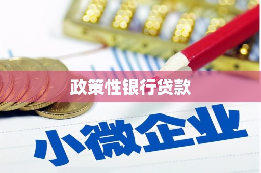 海伦政策性银行贷款