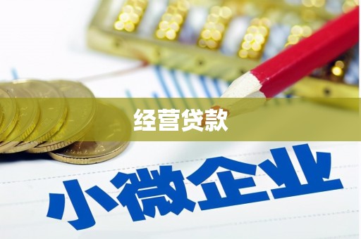 海伦经营贷款