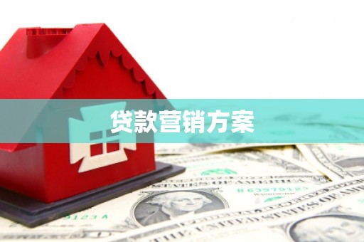 海伦贷款营销方案
