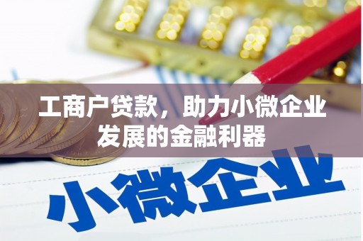 海伦工商户贷款，助力小微企业发展的金融利器