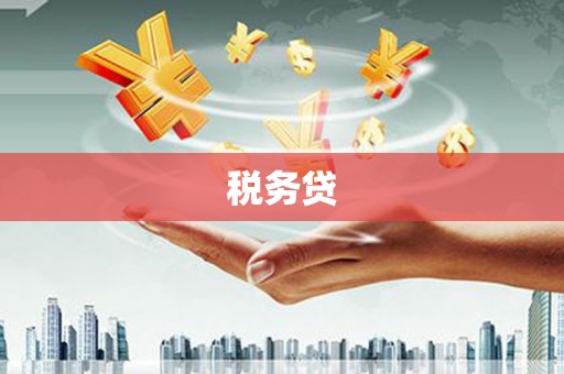 海伦税务贷