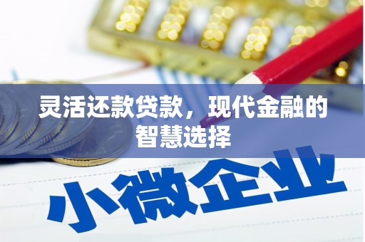 海伦灵活还款贷款，现代金融的智慧选择