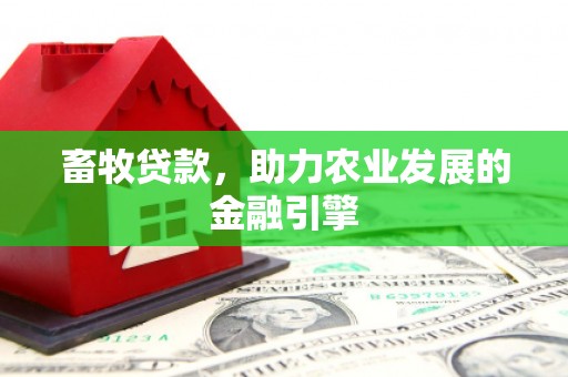 海伦畜牧贷款，助力农业发展的金融引擎