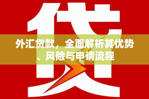 海伦外汇贷款，全面解析其优势、风险与申请流程