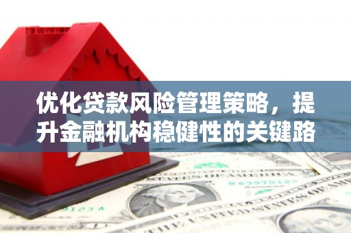 海伦优化贷款风险管理策略，提升金融机构稳健性的关键路径