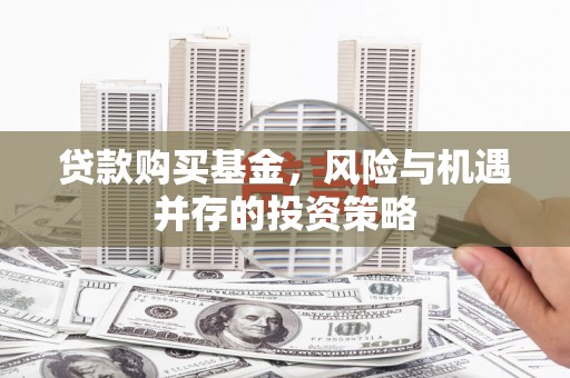 海伦贷款购买基金，风险与机遇并存的投资策略