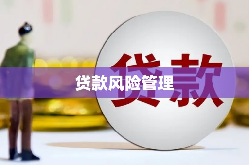 海伦贷款风险管理