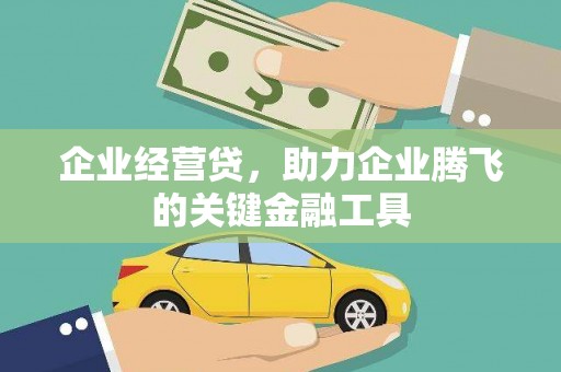 海伦企业经营贷，助力企业腾飞的关键金融工具