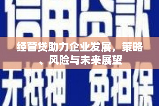 海伦经营贷助力企业发展，策略、风险与未来展望