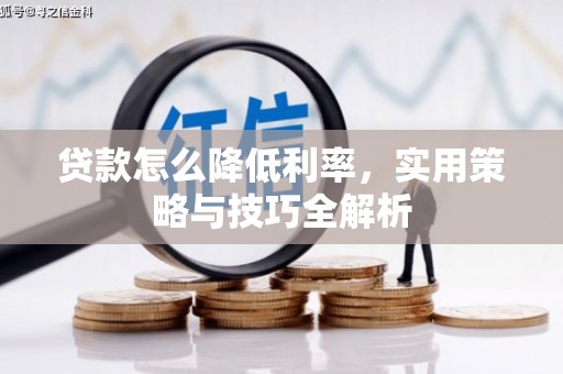 海伦贷款怎么降低利率，实用策略与技巧全解析