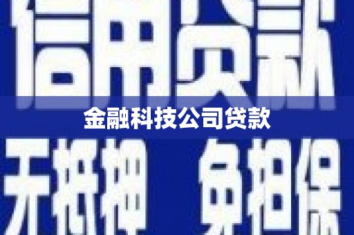海伦金融科技公司贷款