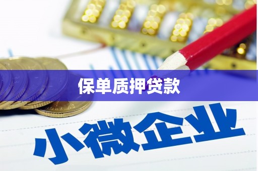 海伦保单质押贷款