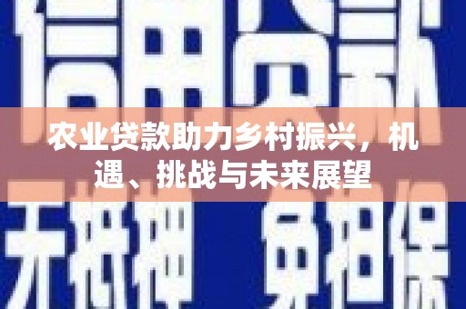 海伦农业贷款助力乡村振兴，机遇、挑战与未来展望