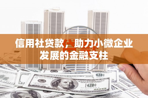 海伦信用社贷款，助力小微企业发展的金融支柱