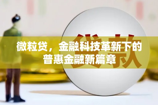 海伦微粒贷，金融科技革新下的普惠金融新篇章
