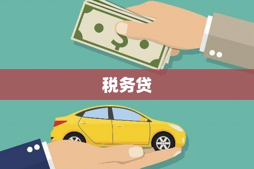 海伦税务贷