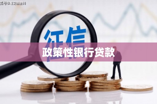 海伦政策性银行贷款