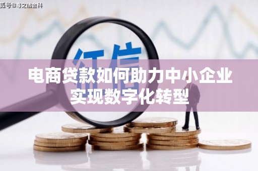 海伦电商贷款如何助力中小企业实现数字化转型