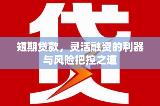 海伦短期贷款，灵活融资的利器与风险把控之道
