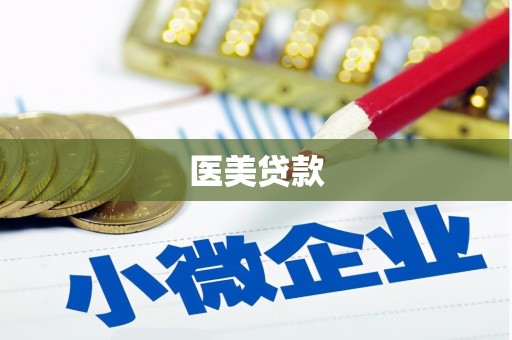 海伦医美贷款