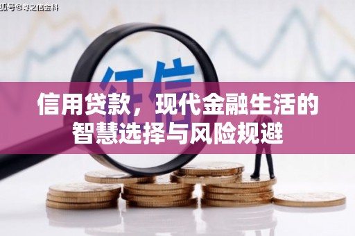 海伦信用贷款，现代金融生活的智慧选择与风险规避