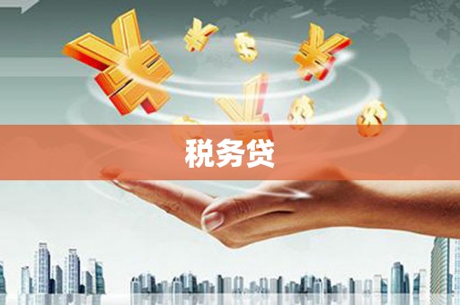 海伦税务贷