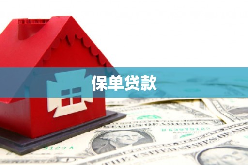 海伦保单贷款