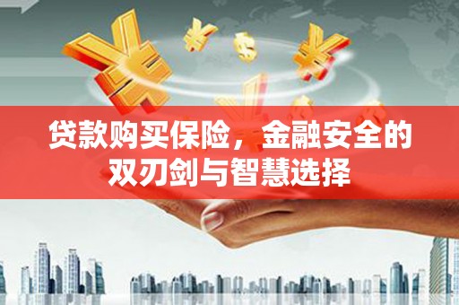 海伦贷款购买保险，金融安全的双刃剑与智慧选择