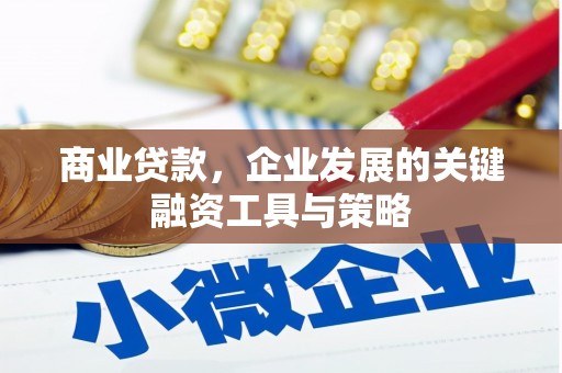 海伦商业贷款，企业发展的关键融资工具与策略