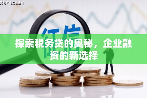 海伦探索税务贷的奥秘，企业融资的新选择