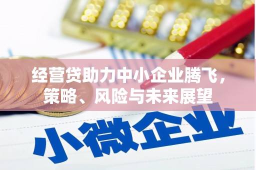 海伦经营贷助力中小企业腾飞，策略、风险与未来展望