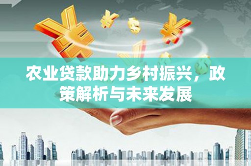 海伦农业贷款助力乡村振兴，政策解析与未来发展