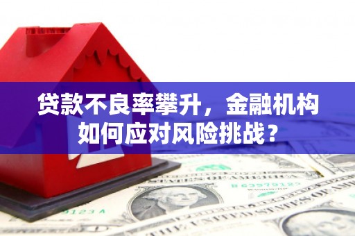 海伦贷款不良率攀升，金融机构如何应对风险挑战？