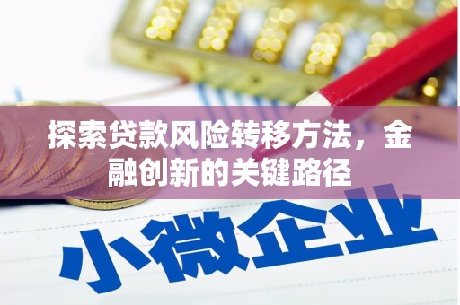 海伦探索贷款风险转移方法，金融创新的关键路径