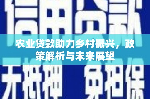 海伦农业贷款助力乡村振兴，政策解析与未来展望